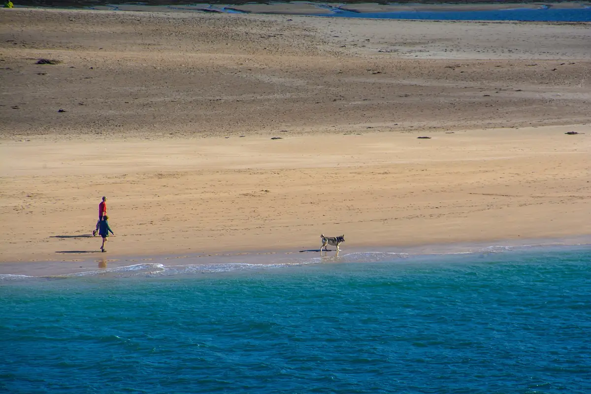 Golden sand and blue water in the Camel estuary at Padstow