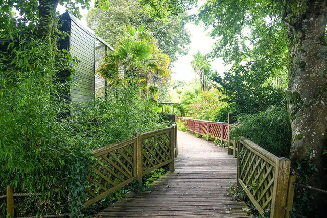 A boardwalk through the gardens at Paradise Park