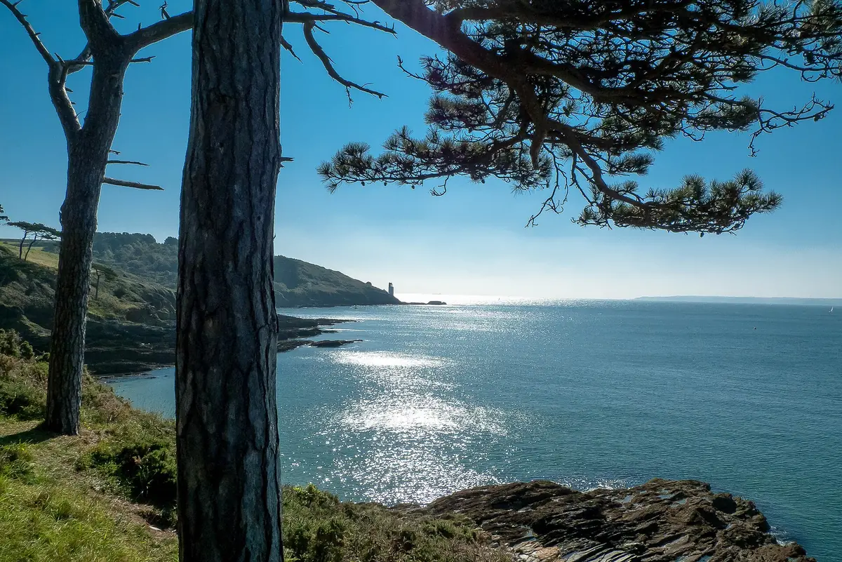 Sunlight on the sea at St Anthony Head through pine trees
