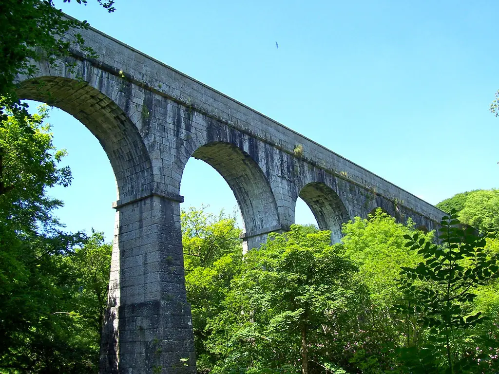 The tall granite arches of the Treffry Viaduct rising above the trees